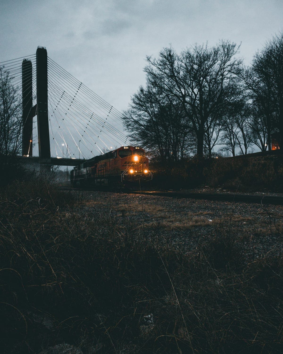 A train with its lights on crossing a bridge at dusk, behind bare trees
