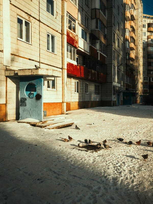 A snowy courtyard in front of an apartment block with pigeons in the sun