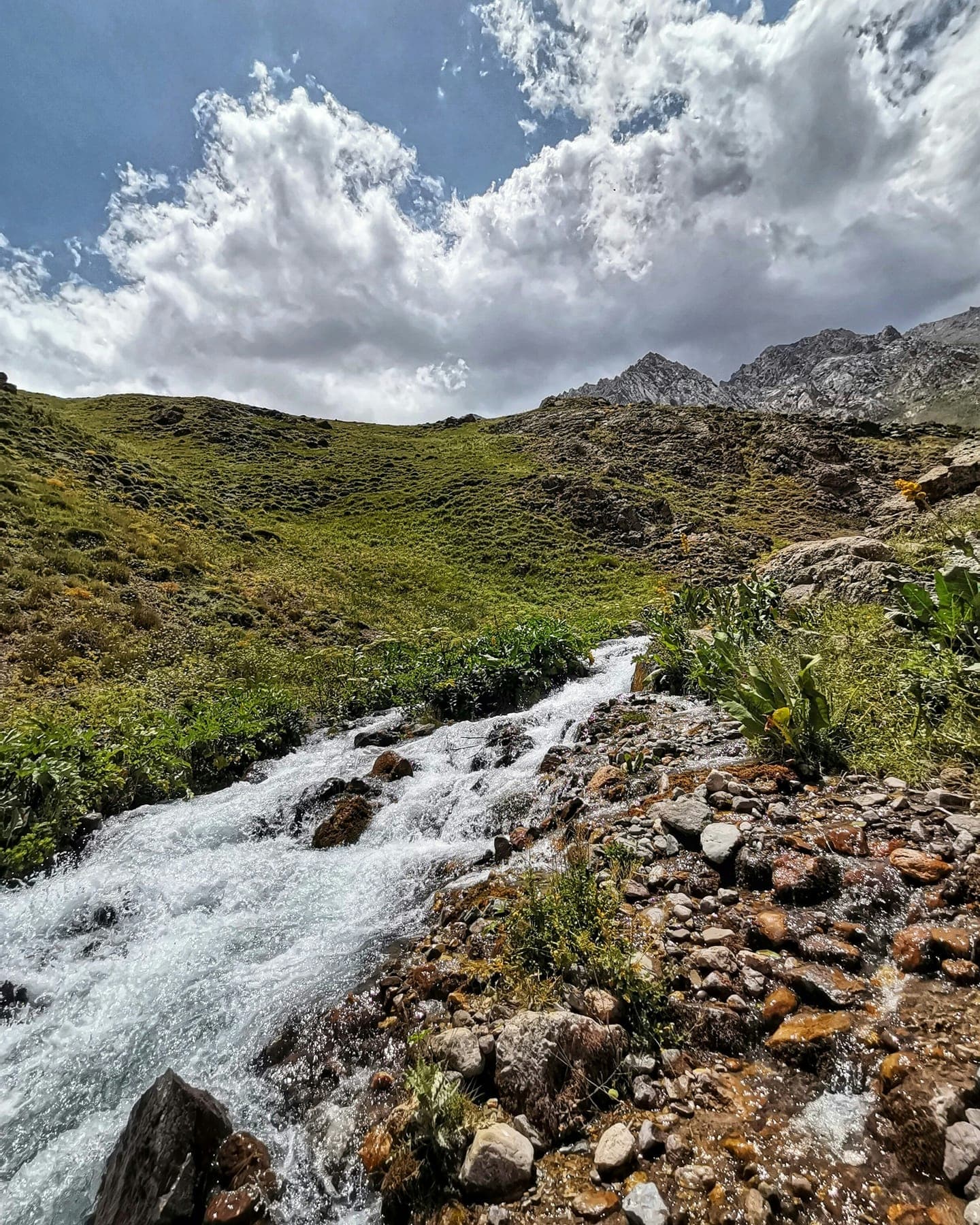 A mountain stream rushing over rocks under white clouds