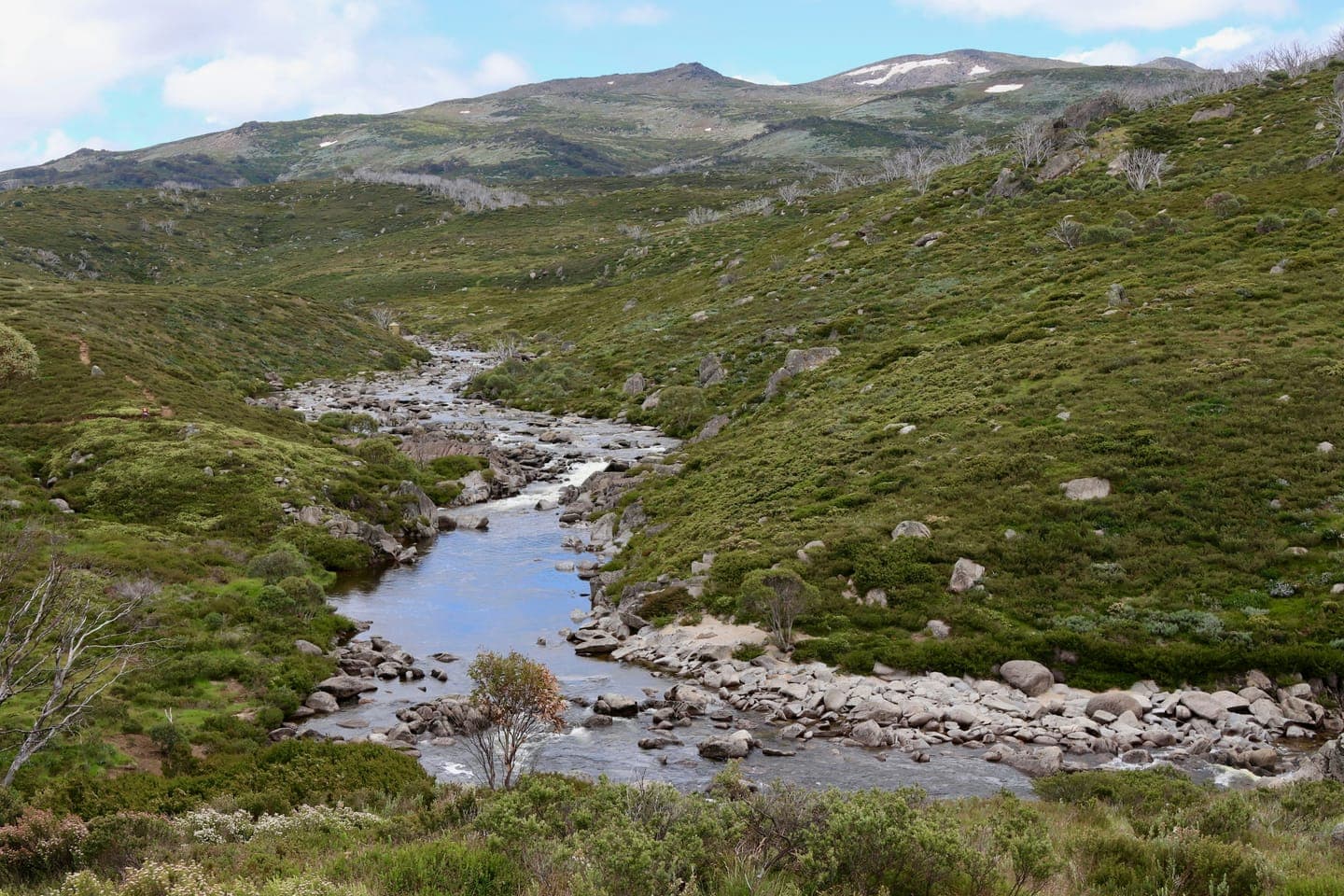 A river winding through green hills