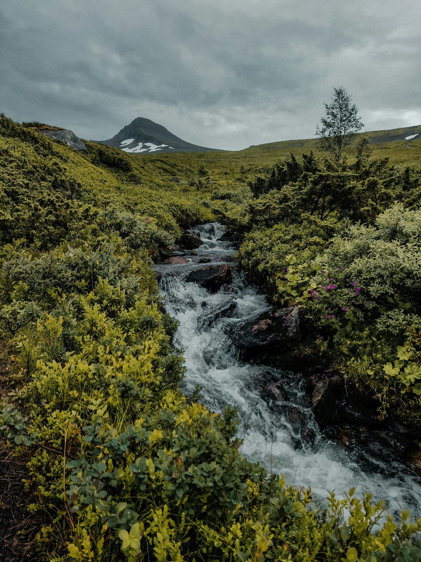 A waterfall in a green valley under a grey sky