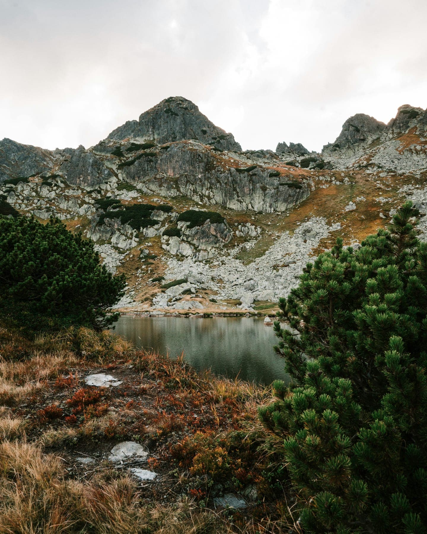 A small lake below rocky peaks and pine trees