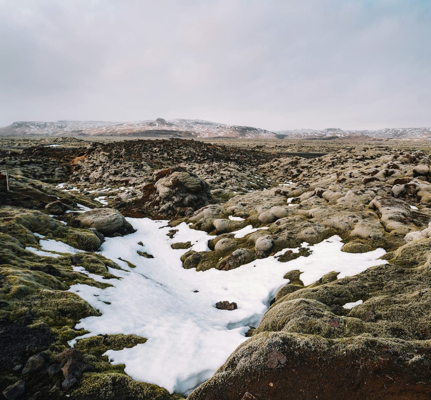 Snow patches among mossy lava fields under a pale sky